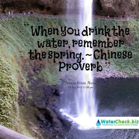 When You Drink The Water Remember The Spring Chinese Proverb