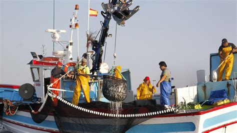 El Consejo De Estado Corrige La Ley De Pesca Sostenible E Investigación