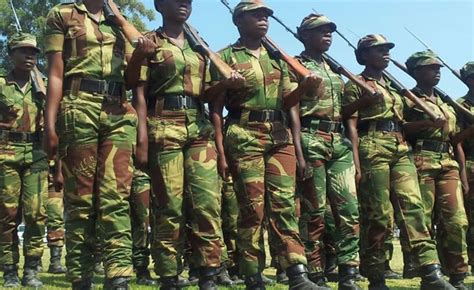 Zimbabwe Soldiers Demand Free Sex As Reward For Removing Mugabe