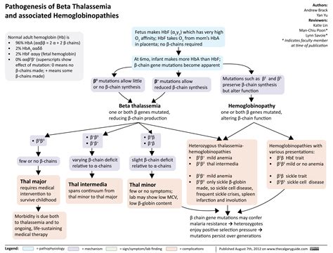Pathogenesis of Beta Thalassemia and Associated Hemoglobinopathies