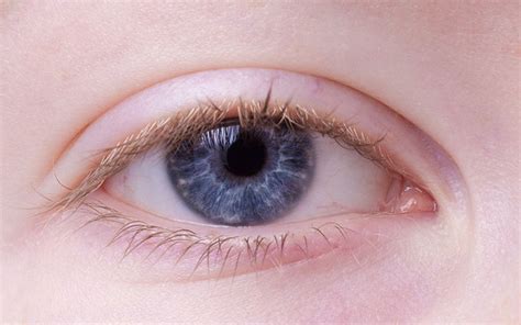 Jęczmień na oku Jakie są objawy i jak leczyć COOLTURAL PL