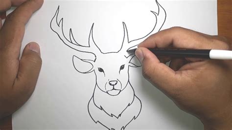 How To Draw Easy Deer Head Youtube