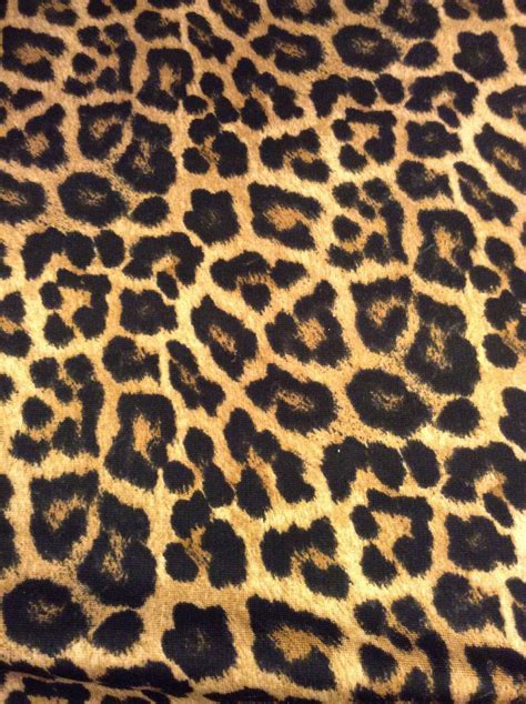 Leopard Skin Wallpapers Wallpaper Cave