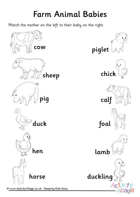 Farm Animal Babies Matchup Worksheet
