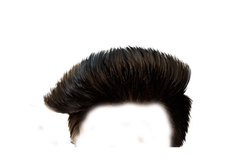 Hair Png And Free Hairpng Transparent Images 49 Pngio