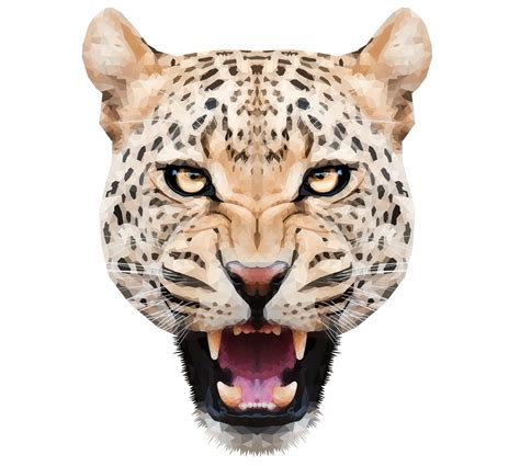 Collection Of Leopard Hd Png Pluspng