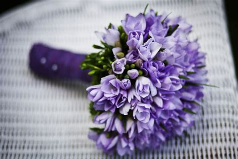 Purple Petaled Flower Bouquet Marriage Flower Purple Flowers