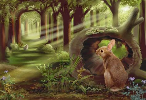 Image Result For Rabbit In Forest Rabbit Painting Spring Wildflowers
