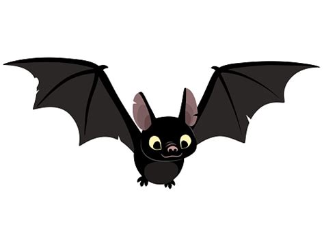 Ok, now it's time to move on down. Vector Cartoon Illustration Of Cute Friendly Black Bat ...