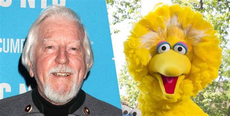 Caroll Spinney Retires From Big Bird And Oscar Behind The Voice Actors