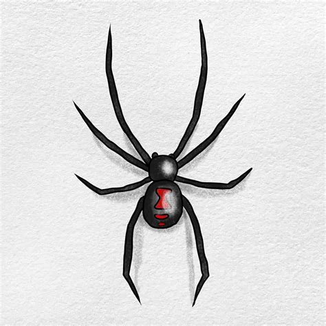 How To Draw A Realistic Spider