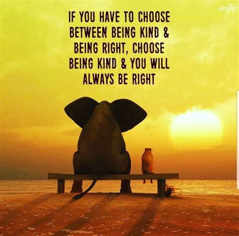 If You Have To Choose Between Being Kind And Being Right Choose Being