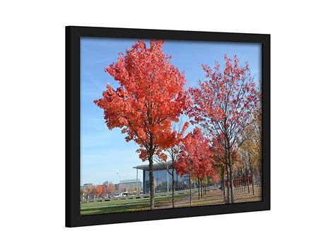 12x16 Inch Picture Frame Poster Frame For Pictures 12x16 Without Mat Or