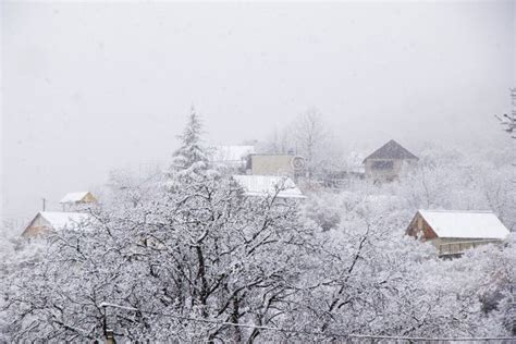 Village During Snowfall Snow On The Roofs Snowy Trees Landscape In