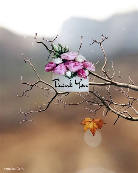Pin By Ramchai Chuenbumrung On Thank You Thank You Flowers