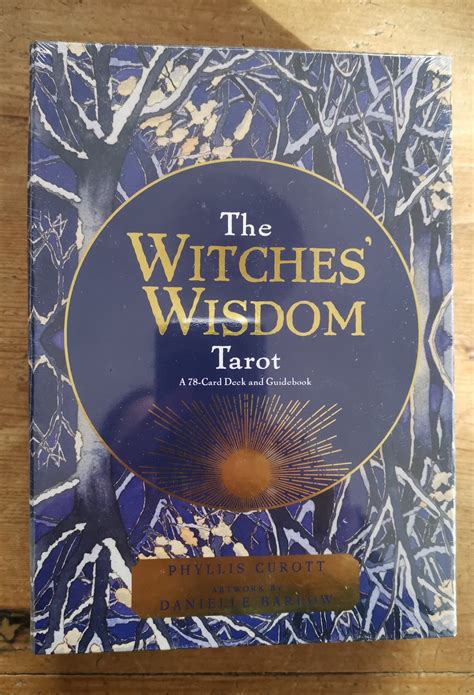The Witches Wisdom Tarot Angel On A Broomstick