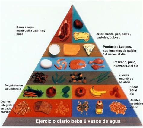 Cómo Es La Nueva Pirámide Alimenticia