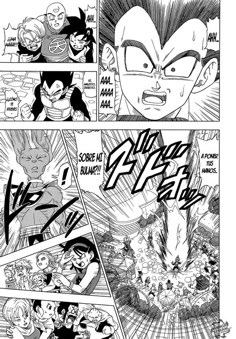 Manga 3 De Dragon Ball Super En Español Dragones Vegeta Y Bulma