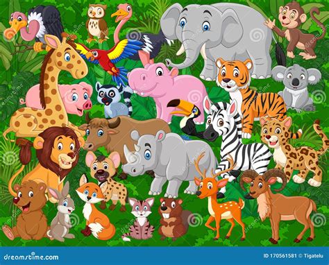 Conjunto De Colección De Caricaturas De Animales Salvajes Ilustración