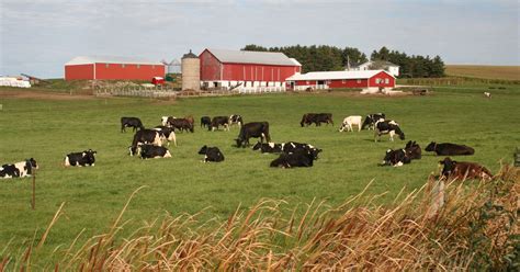 Wisbar News Building Permit Rule Extends To Land Court Sides With Large Dairy Farm