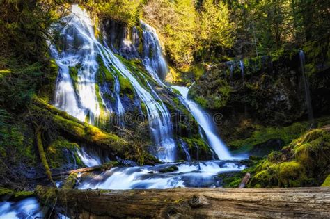 Panther Creek Falls Lower View Washington State Stock Image Image Of