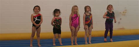 Lions And Cubs Livingston County Howell Gymnastics