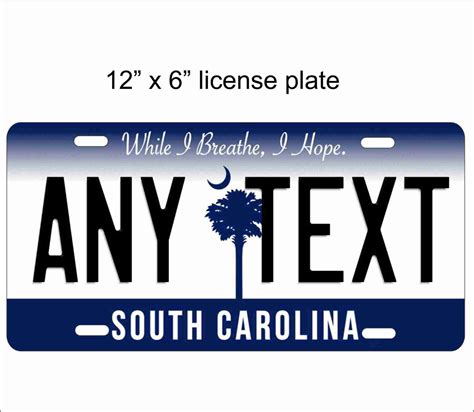 Custom Novelty Front License Plate Any State Vanity Decorative Etsy