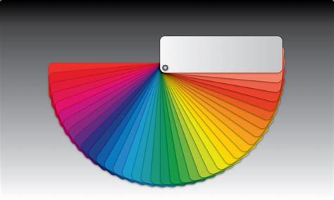 All You Need To Know About Infographic Color Scheme
