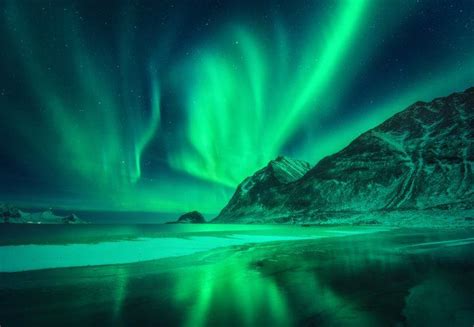 Northern Lights In Lofoten Islands Norway Green Aurora Borealis Starry
