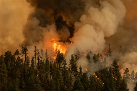 The dixie fire grew by 30,000 acres wednesday and the evacuation order was extended to the west shore of lake almanor. California's Dixie Fire continues to grow, destroying 16 ...