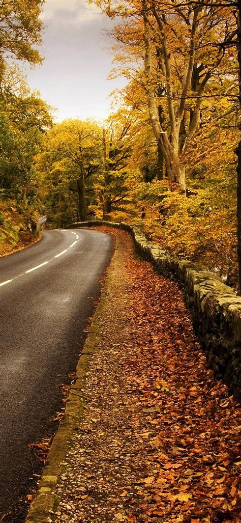 Autumn Road Wallpaper 1080x2340 Huawei Wallpapers Scenery