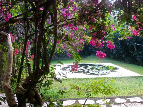 Bevis Bawas Sri Lankan Masterpiece The Brief Garden