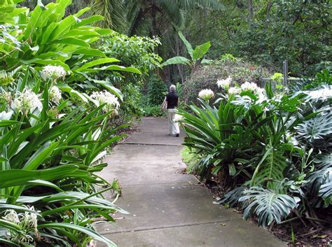 luxury tropical garden | Tropical garden, Garden inspiration, Tropical
