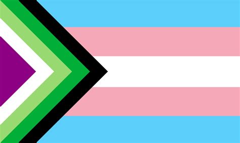 Anyone Have A Transacearo Flag Rqueervexillology