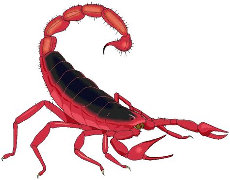 Scorpion Clipart Clipart Best