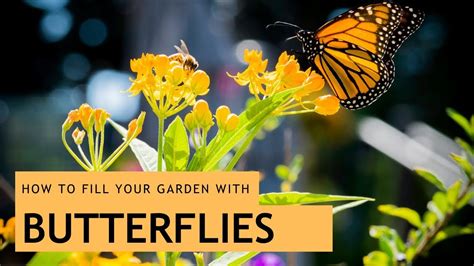 If you can loosen your gardening style, you will help butterflies and all nature. Attracting Butterflies to Your Garden - YouTube