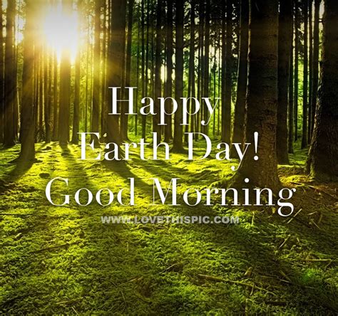 Forest And Sun Happy Earth Day Good Morning Pictures Photos And