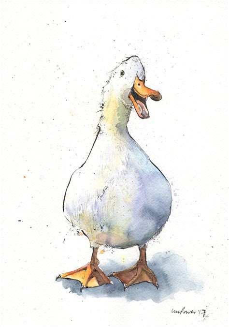Laughing Duck Original Pen And Ink Drawing And Watercolour Painting By