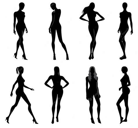 Premium Vector Vector Set Of Women Body Silhouettes In Various Poses