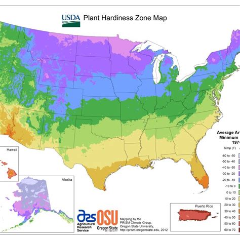 Understanding Usda Hardiness Zones For Successful Gardening