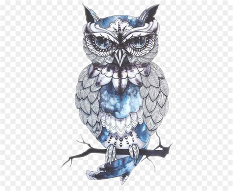 Ordo strigiformes adalah kelompok burung dengan ciri. Tato Burung Hantu - Moa Gambar