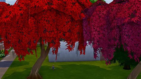 Recoloring The Weeping Cherry Tree Sims 4 Studio