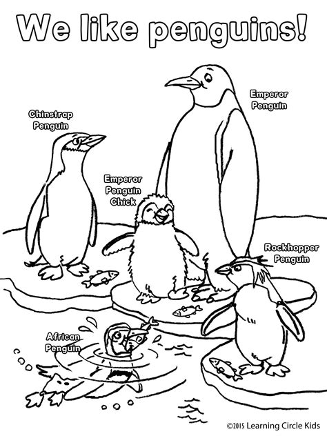 This cute penguin coloring page is a perfect way to introduce arctic animals into your unit study for preschoolers or a great activity to stay penguin 237 coloring page for kids and adults from birds coloring pages, penguin coloring pages. Free penguin coloring page from http://readerbee.com ...