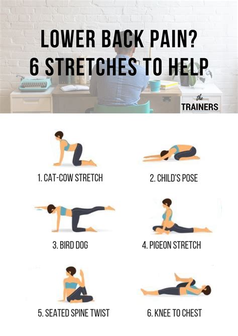 Lower Back Pain 6 Stretches To Help Fitness Article The Trainers