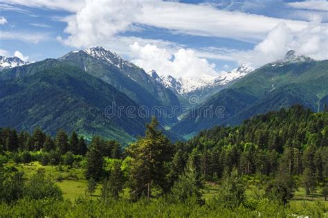 Beautiful Summer Day On A Scenic Landscape With Pine Trees On Hills