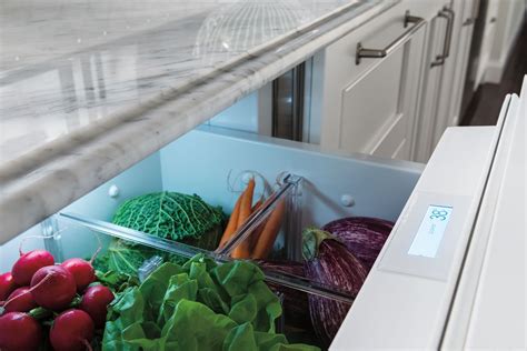 'anywhere refrigeration' offering advanced freshness performance and limitless design options. Sub-Zero 24" Designer Refrigerator Drawers - Panel Ready ...
