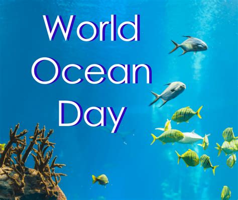 World Ocean Day 8 June 2021 History And Theme
