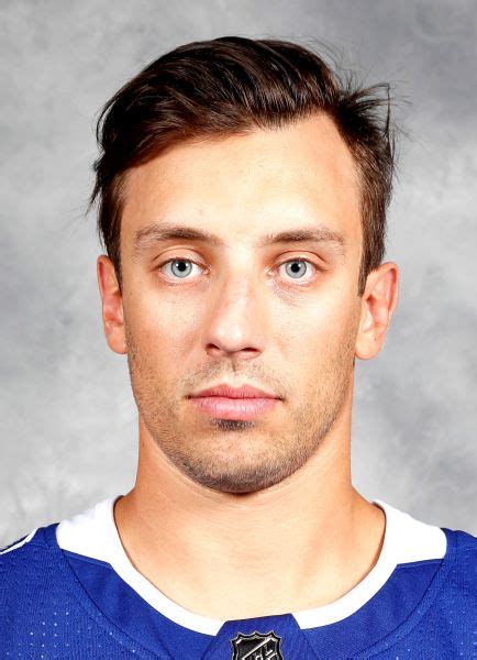 Gabriel Dumont B1990 Hockey Stats And Profile At
