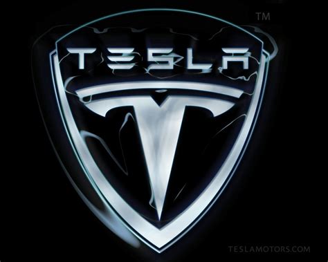 Tesla Logo Youth Are Awesome