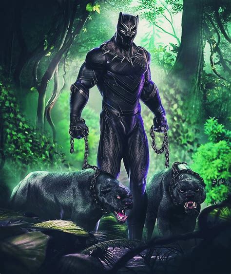 1080p Images Black Panther Wallpaper Hd Zedge